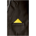 Load image into Gallery viewer, TheDapperTie - Men&#39;s Solid Color Satin Triangle Pre Folded Pocket Square on Card Prefolded Pocket Squares TheDapperTie   
