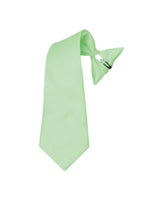 Load image into Gallery viewer, Boy&#39;s Solid Color Pre-tied Clip On Neck Tie Neck Tie TheDapperTie Mint 8&quot; x 2.5&quot; 
