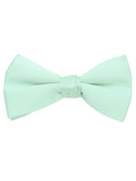 Load image into Gallery viewer, Men&#39;s Pre-tied Clip On Bow Tie - Formal Tuxedo Solid Color Men&#39;s Solid Color Bow Tie TheDapperTie Light Green One Size 
