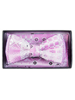 Load image into Gallery viewer, Young Boy&#39;s Fancy Pre-tied Adjustable Band Bow Tie With Hanky Neck Tie TheDapperTie Pink Geometric One Size 
