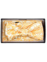 Load image into Gallery viewer, Young Boy&#39;s Fancy Pre-tied Adjustable Band Bow Tie With Hanky Neck Tie TheDapperTie Yellow Paisley 1 One Size 
