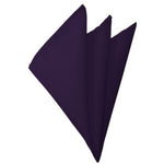 Load image into Gallery viewer, TheDapperTie - Men&#39;s Solid Color 10 Inch x 10 Inch Pocket Squares Handkerchief Neck Ties Marquis Egg Plant  
