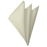 Load image into Gallery viewer, TheDapperTie - Men&#39;s Solid Color 10 Inch x 10 Inch Pocket Squares Handkerchief Neck Ties Marquis Ivory  
