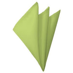 Load image into Gallery viewer, TheDapperTie - Men&#39;s Solid Color 10 Inch x 10 Inch Pocket Squares Handkerchief Neck Ties Marquis Pear Green  
