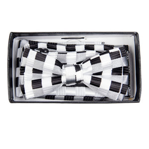 Young Boy's Fancy Pre-tied Adjustable Band Bow Tie With Hanky Neck Tie TheDapperTie Black And White Checkered One Size 