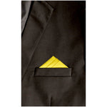 Load image into Gallery viewer, TheDapperTie - Men&#39;s Trifecta Triangle Pre Folded Pocket Square Prefolded Pocket Squares TheDapperTie   
