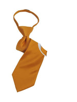 Load image into Gallery viewer, Boy&#39;s Solid Color Pre-tied Zipper Neck Tie Dapper Neckwear TheDapperTie Gold 8&quot; x 2&quot; 
