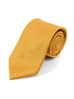 Load image into Gallery viewer, Boy&#39;s Age 12-18 Solid Color Poly Neck Tie Boy&#39;s Solid Color Neck Tie TheDapperTie Gold 49&quot; 
