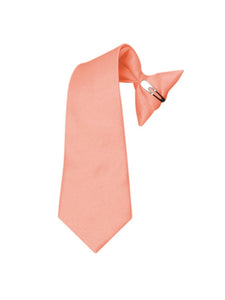 Boy's Solid Color Pre-tied Clip On Neck Tie Neck Tie TheDapperTie Coral 8" x 2.5" 