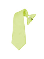 Load image into Gallery viewer, Boy&#39;s Solid Color Pre-tied Clip On Neck Tie Neck Tie TheDapperTie Lime 8&quot; x 2.5&quot; 
