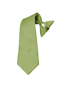 Boy's Solid Color Pre-tied Clip On Neck Tie Neck Tie TheDapperTie Sage 8" x 2.5" 