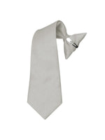 Load image into Gallery viewer, Boy&#39;s Solid Color Pre-tied Clip On Neck Tie Neck Tie TheDapperTie Silver 8&quot; x 2.5&quot; 
