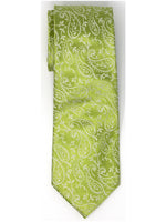 Load image into Gallery viewer, Men&#39;s Silk Woven Wedding Neck Tie Collection Neck Tie TheDapperTie Green Paisley Regular 
